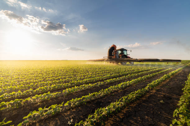 Agroindústria e matérias-primas